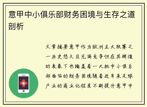 意甲中小俱乐部财务困境与生存之道剖析